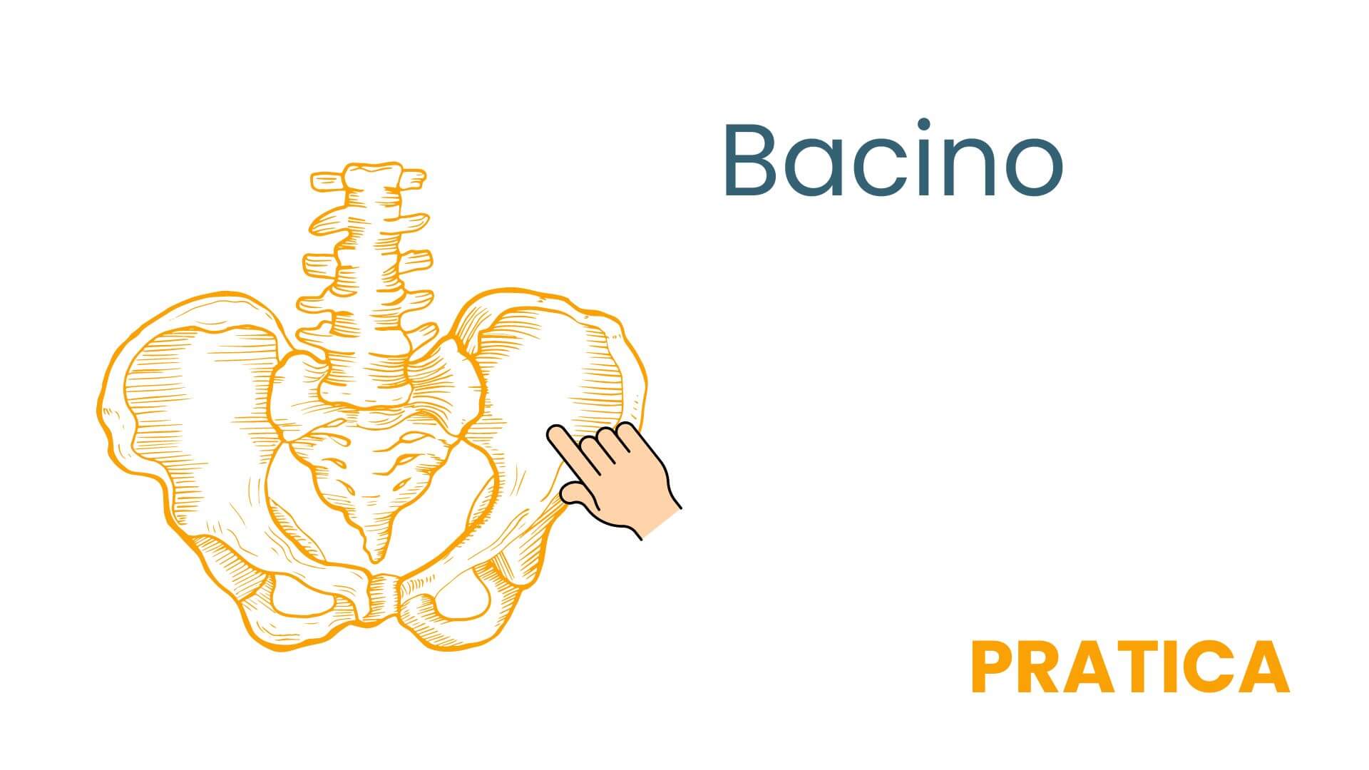 BACINO (1)