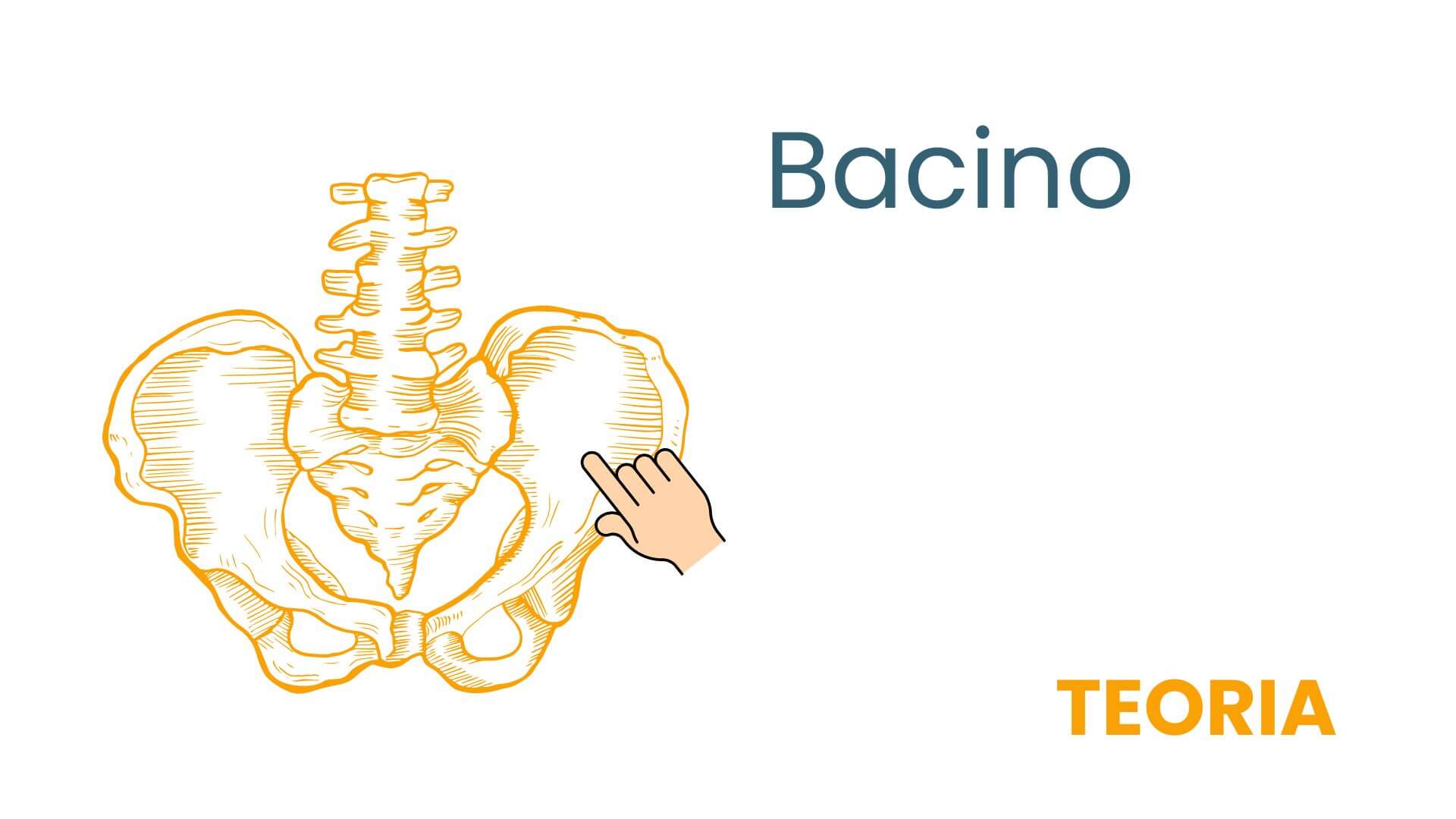 BACINO