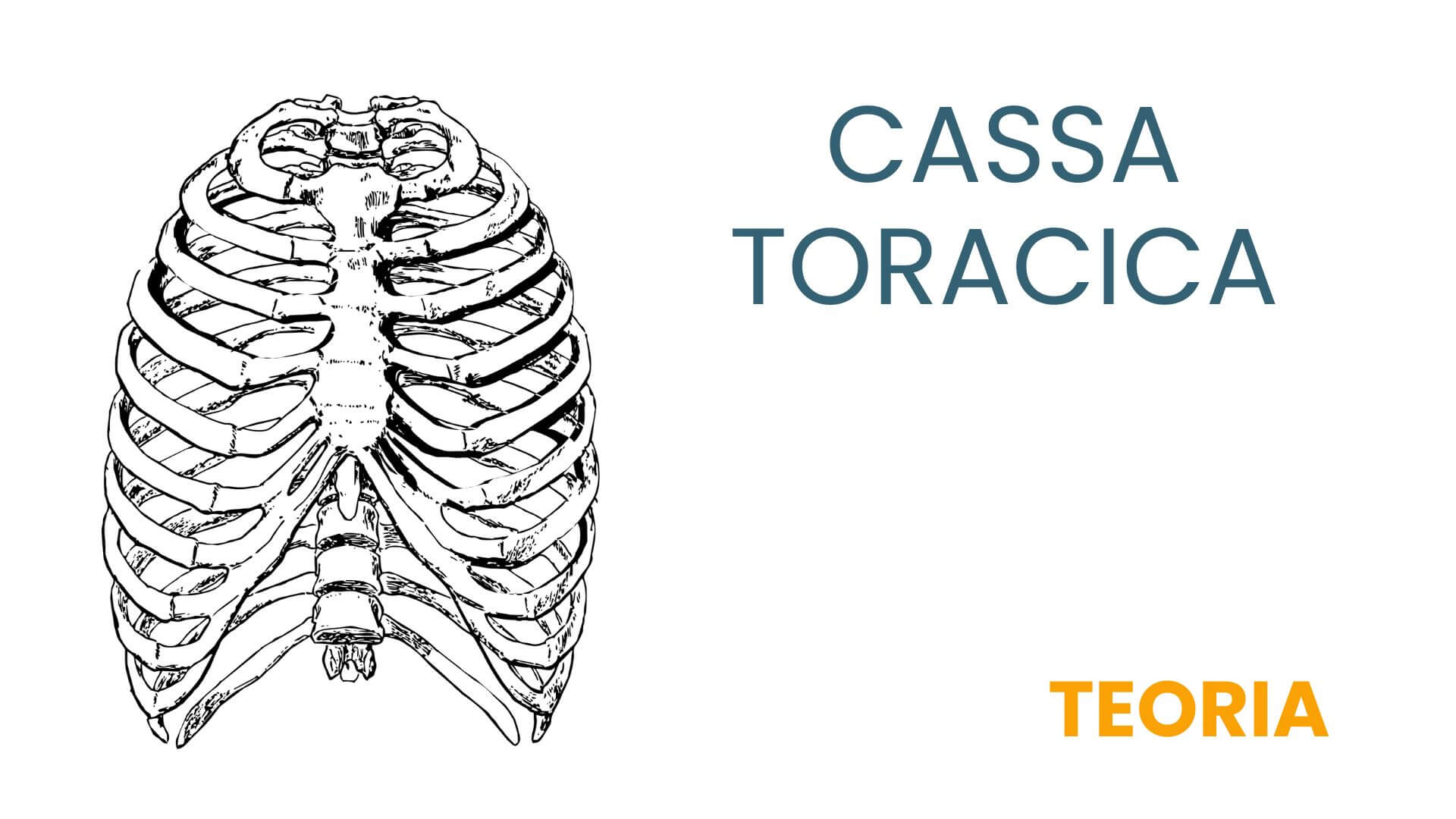 CASSA TORACICA TEORIA DORSALE
