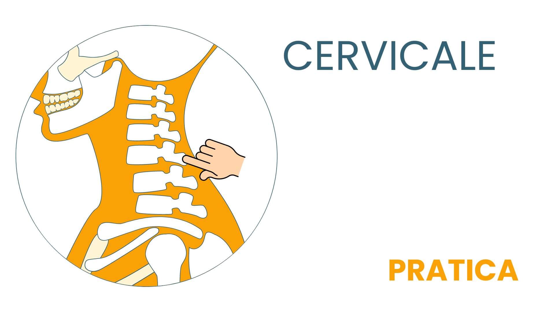 Copia di Copia di CERVICALE TEORIA 2 (1)