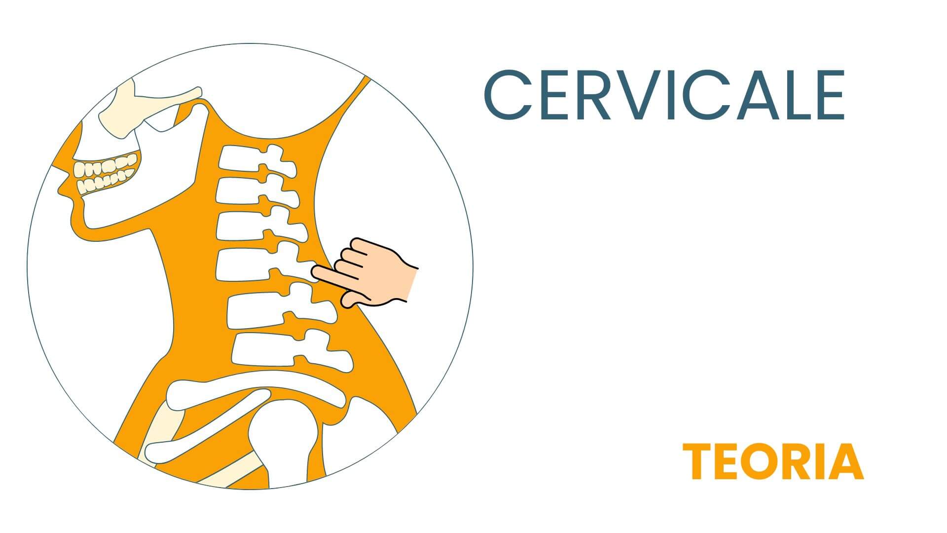 Copia di Copia di CERVICALE TEORIA 2