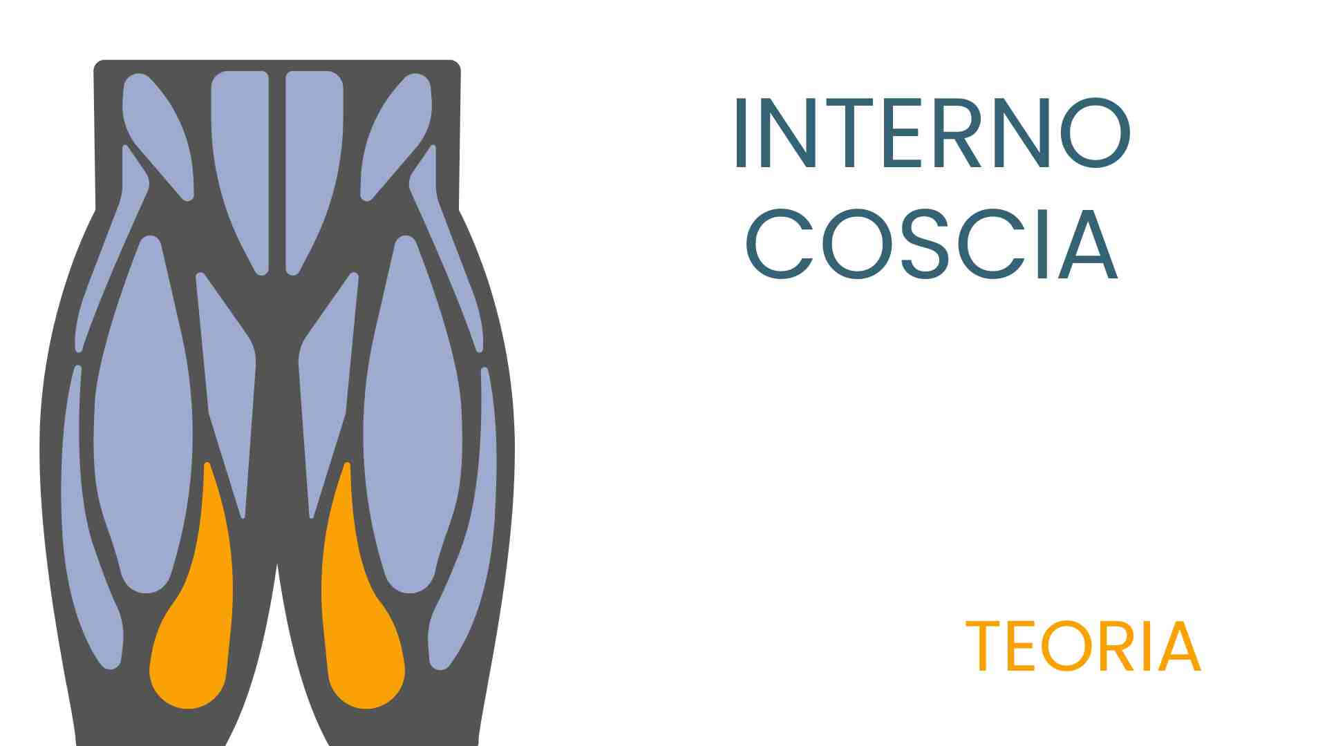 Copia di DORSALE TEORIA4 SPALLA (1)