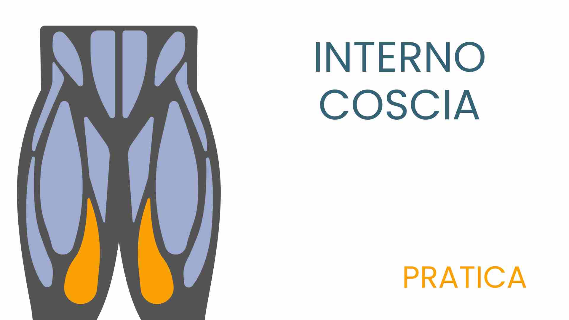 Copia di DORSALE TEORIA4 SPALLA (2)