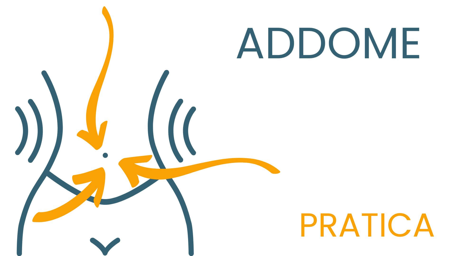Copia di addome (1)