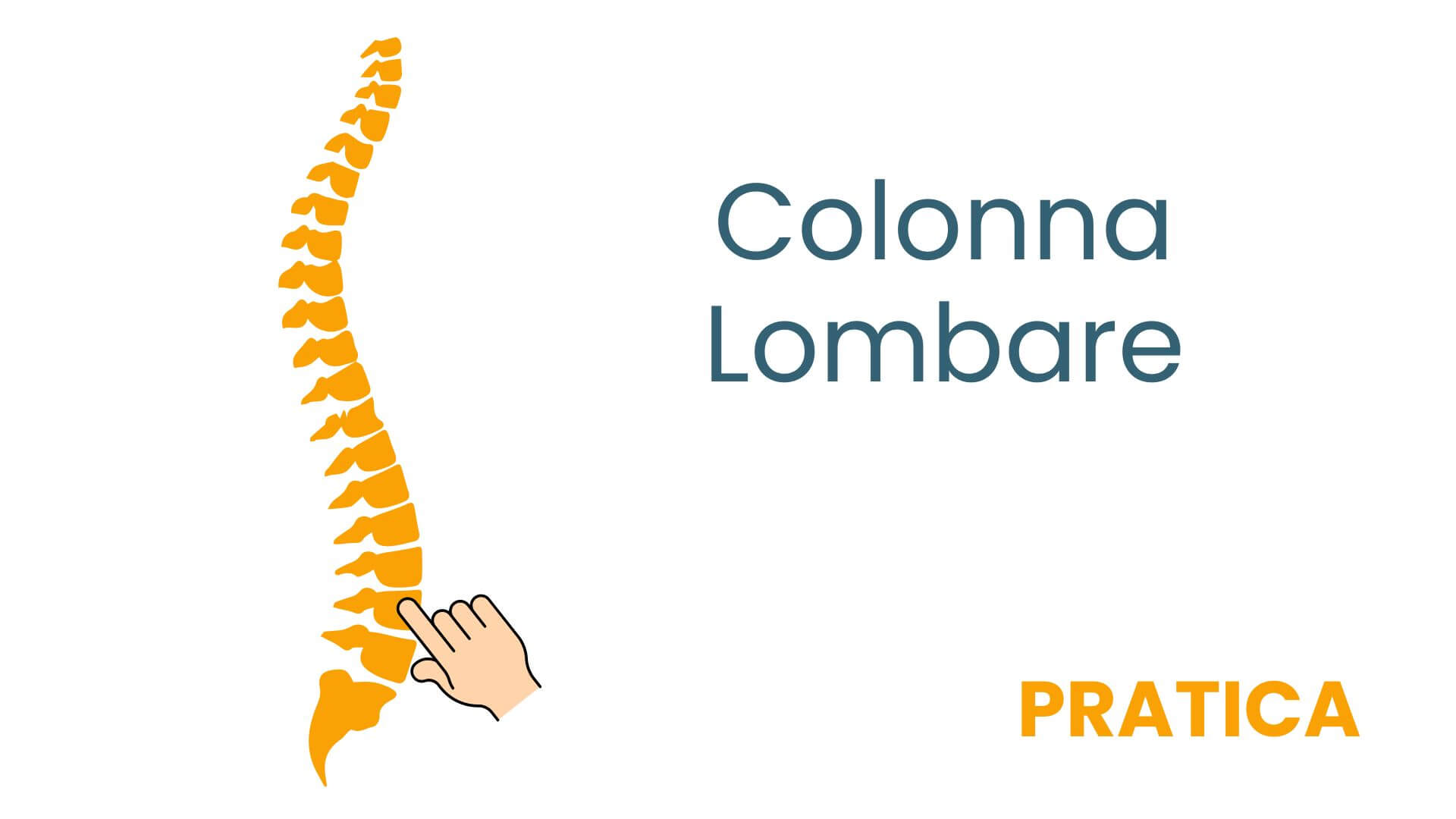 Copia di colonna lombo
