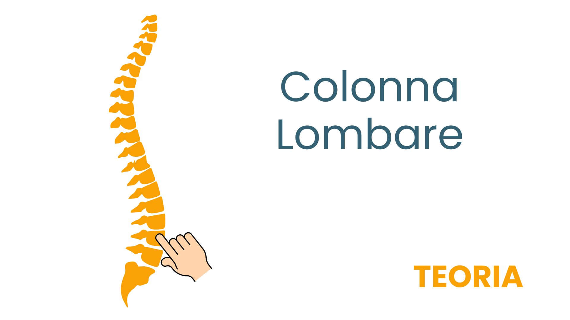 Copia di colonna lombo dorsale