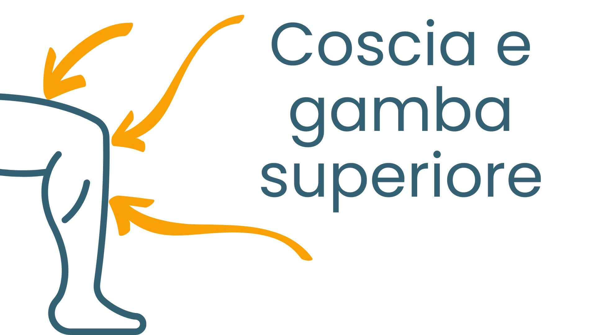 Coscia e gamba superiore