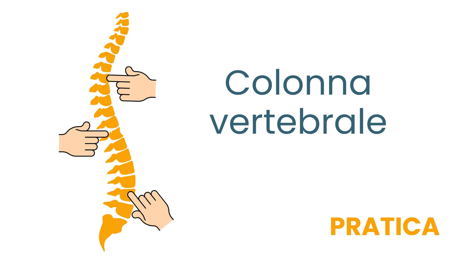 MASSOTERAPIA LOMBARE (1)
