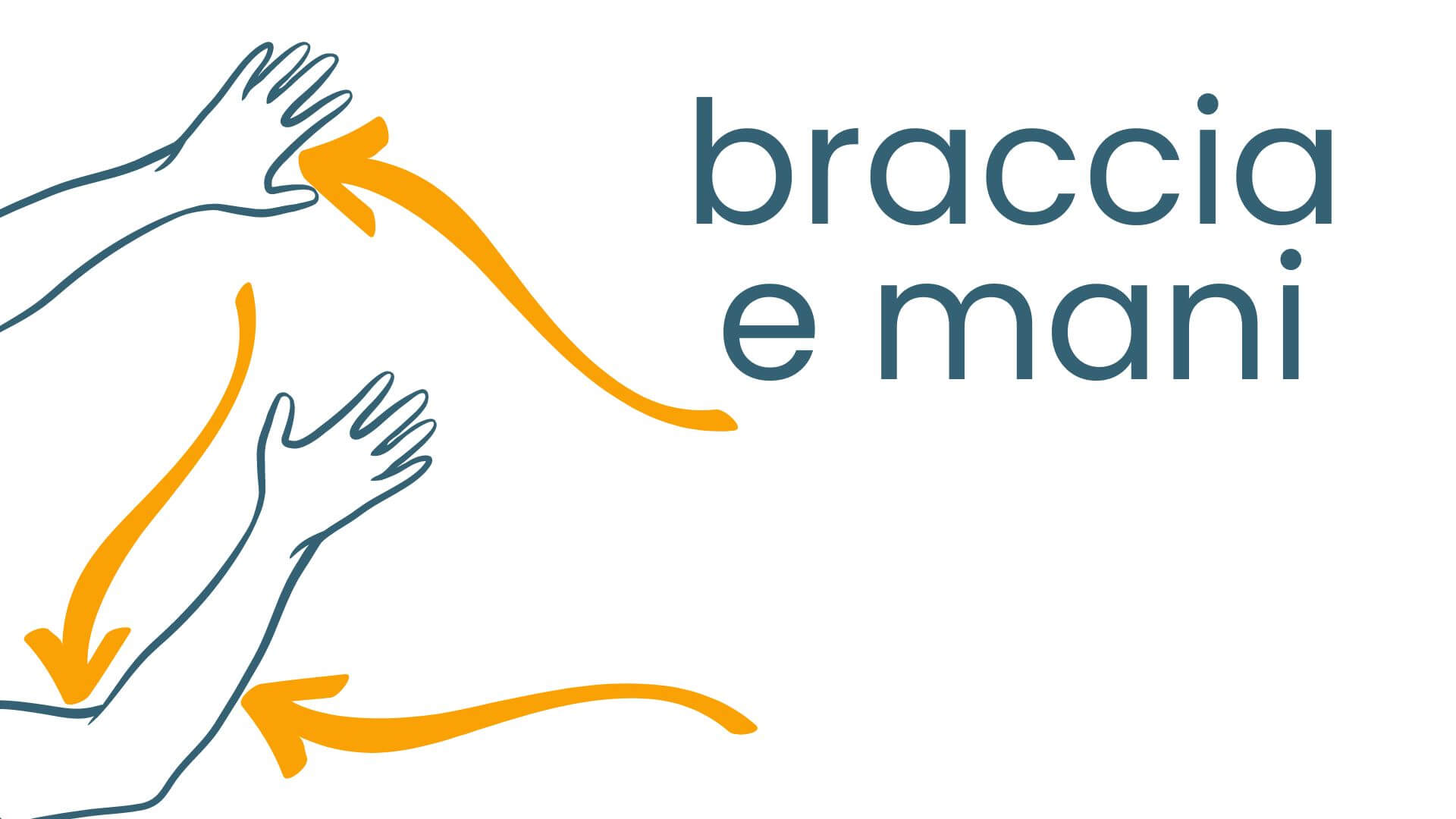 braccia e mani
