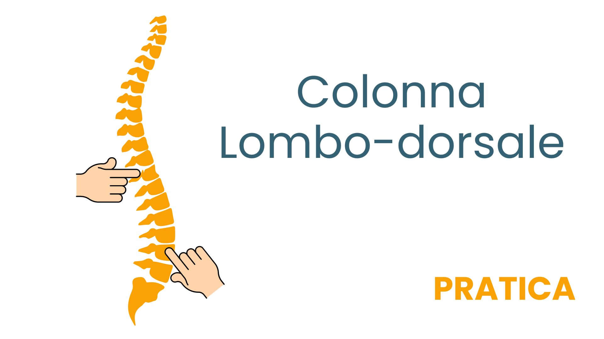 colonna lombo dorsale